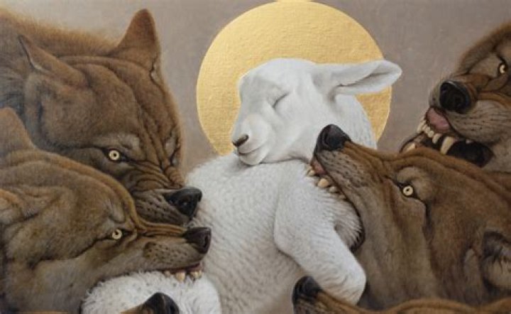 Animal that bears a lamb