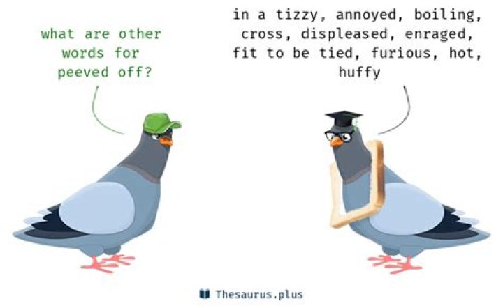 ___ off (peeved)